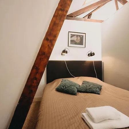 Follow Your Heart In